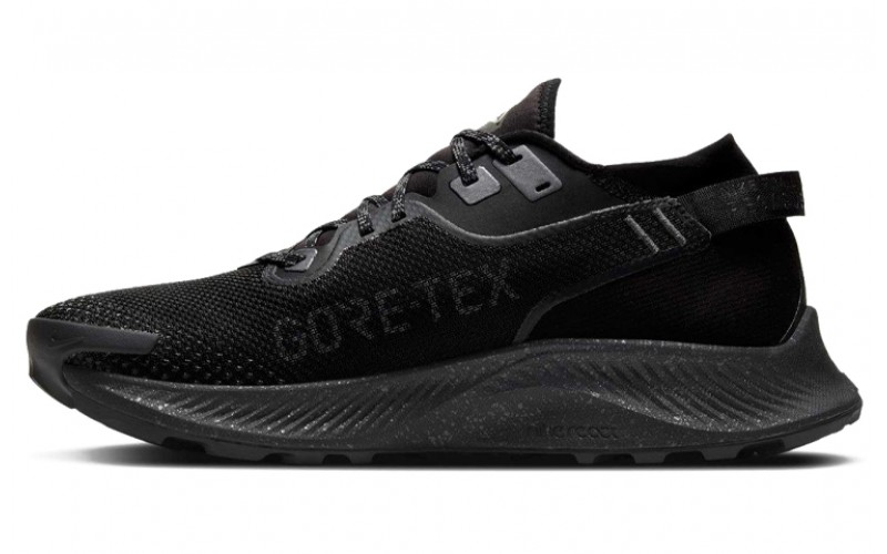 Nike Pegasus Trail 2 GORE-TEX