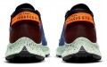 Nike Pegasus Trail 2 Zoom GORE-TEX