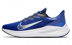 Nike Zoom Winflo 7