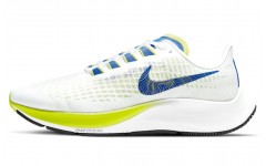 Nike Pegasus 37