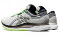 Asics EvoRide