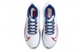 Nike Pegasus 37 New York Giants