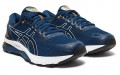 Asics GEL-Nimbus 21