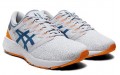 Asics Roadhawk FF 2 Twist