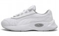 Puma Nucleus