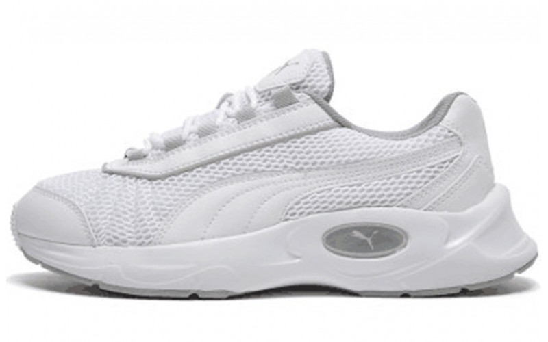 Puma Nucleus