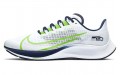 Nike Pegasus 37 "Seattle Seahawks"