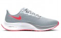 Nike Pegasus 37 37