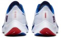 Nike Pegasus 37 New York Giants