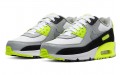 Nike Air Max 90 LTR GS