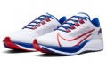 Nike Pegasus 37 Air Zoom Buffalo Bills