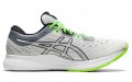 Asics EvoRide