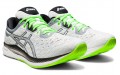 Asics EvoRide