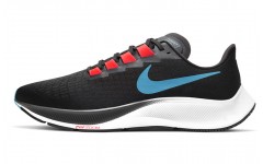 Nike Pegasus 37 TPU