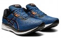 Asics EvoRide