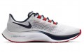 Nike Pegasus 37 "New England Patriots"