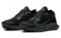 Nike Pegasus Trail 2 GORE-TEX