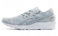 Asics Gel-Kayano Trainer Evo