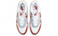 Nike Air Max 1 Martian Sunrise