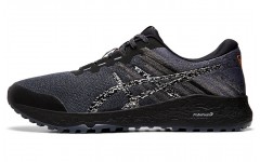 Asics Alpine XT 2