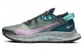 Nike Pegasus Trail 2