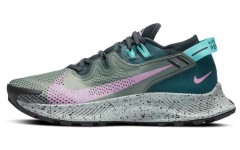 Nike Pegasus Trail 2