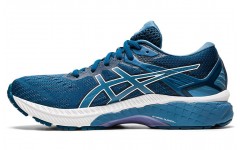 Asics GT-2000 9 D