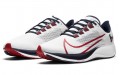 Nike Pegasus 37 Houston Texans