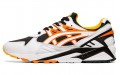 Asics Gel-Kayano Trainer Evo