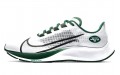 Nike Pegasus 37 New York Jets