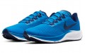 Nike Pegasus 37