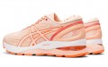 Asics GEL-Nimbus 21