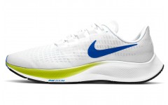 Nike Pegasus 37