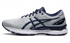 Asics GEL-Nimbus 22