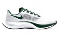 Nike Pegasus 37 New York Jets