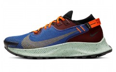 Nike Pegasus Trail 2 GORE-TEX