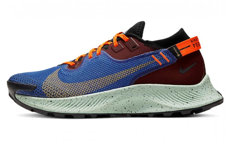 Nike Pegasus Trail 2 GORE-TEX