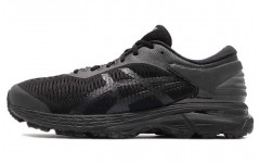 Asics Gel-Kayano 25