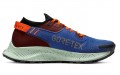 Nike Pegasus Trail 2 GORE-TEX