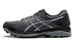 Asics GT-2000 5 Trail