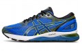 Asics GEL-Nimbus 21