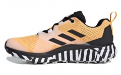 adidas Terrex Two Trail