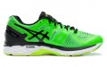 Asics Gel-Kayano 23