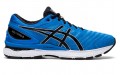 Asics GEL-Nimbus 22