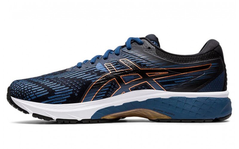 Asics GT-2000 8 2E