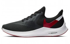 Nike Zoom Winflo 6