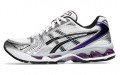 Asics Gel-Kayano 14