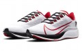 Nike Pegasus 37 Air Zoom Atlanta Falcons