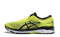 Asics Gel-Kayano 24