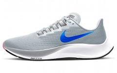 Nike Pegasus 37 37